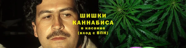 мдпв Сафоново